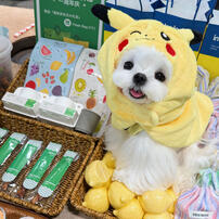 Pokemon寶可夢 兜帽披風皮卡丘款