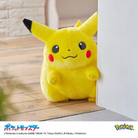 Pokemon寶可夢30週年紀念 歡迎回來! 皮卡丘11