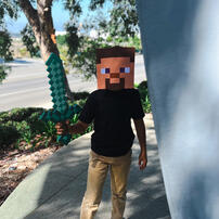 Minecraft Sword And Mask Set