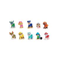 Paw Patrol All Paws Gift Pack