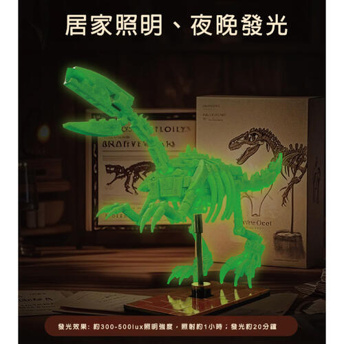 Cada咔搭 夜光骨架恐龍積木模型-劍龍