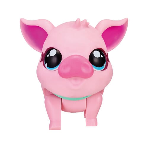 Little Live Pets My Pet Pig S1 Single Pk - Piggly