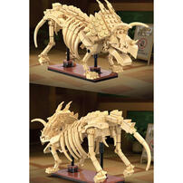 Cada咔搭 夜光骨架恐龍積木模型-三角龍