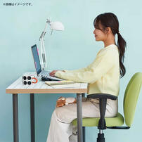 Dreams MUGYUUUS 姆啾伴偶 小貓咪