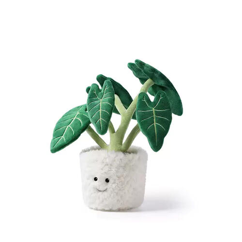 mchugs Alocasia Odora Bonsai 30cm