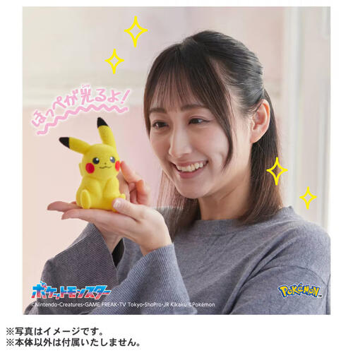 Pokemon寶可夢30週年紀念-掌心大小的皮卡丘Poke-fuwa