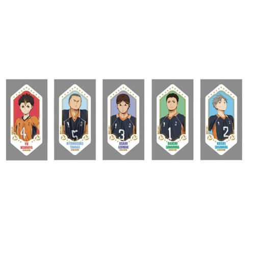 Haikyuu!! 排球少年 徽章盲袋-鳥野高校系列- 隨機發貨