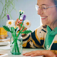 LEGO Botanicals 雛菊 11508