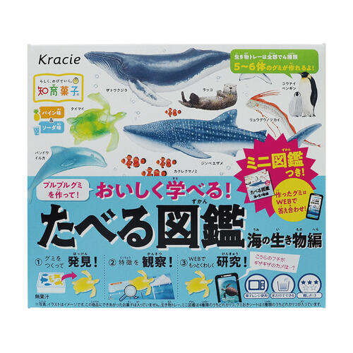 Kracie Foods 知育果子系列 Kracie 創意DIY-海洋圖鑑小達人
