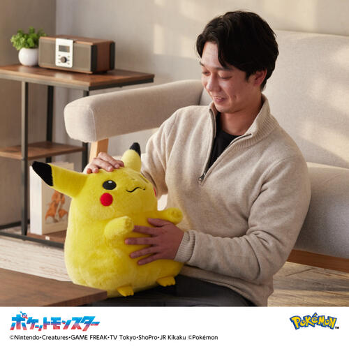 Pokemon寶可夢30週年紀念 歡迎回來! 皮卡丘11