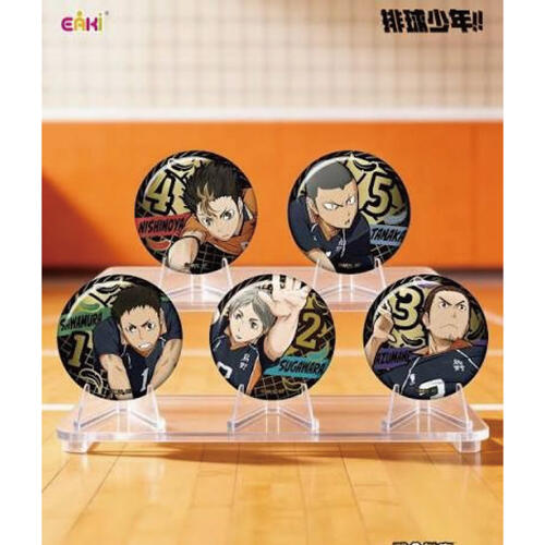 Haikyuu!!  排球少年 雕金徽章 盲袋(9款6入)- 隨機發貨