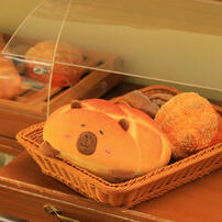 TUNTUNZAI卡皮巴拉	豚豚崽烘焙坊-可愛趴趴菠蘿包