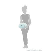 Sumikkogurashi Tokage San-X 原味麻糬坐墊毛絨