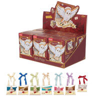 Harry Potter Time  Letter Surprise Box P