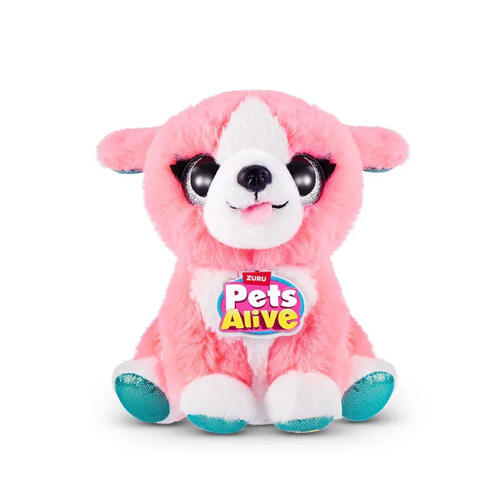 Rainbocorns	彩虹角角兒-驚奇寵物箱 生日派對