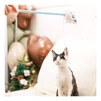 Pokemon寶可夢 快樂下午茶系列逗貓棒-胖丁款