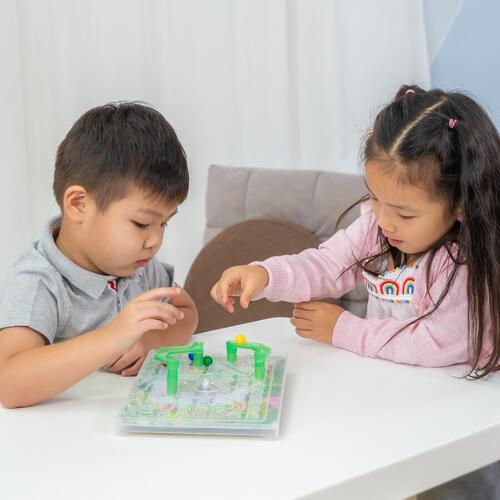 playpop Snakes 'N Ladders Family Game