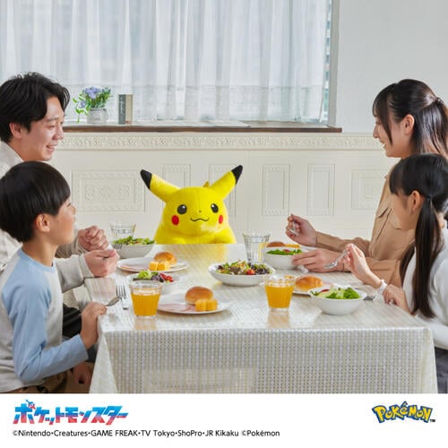 Pokemon寶可夢30週年紀念 歡迎回來! 皮卡丘11