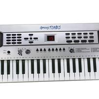 Groovy Tunes49鍵電子琴