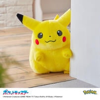 Pokemon寶可夢30週年紀念 歡迎回來! 皮卡丘11