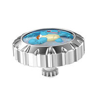 Pokémon寶可夢陀螺2 - 傑尼龜