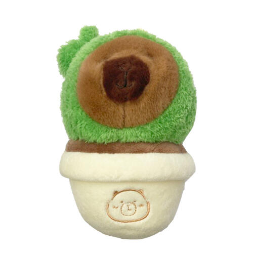 TUNTUNZAI卡皮巴拉	豚豚崽盆栽15cm-仙人掌