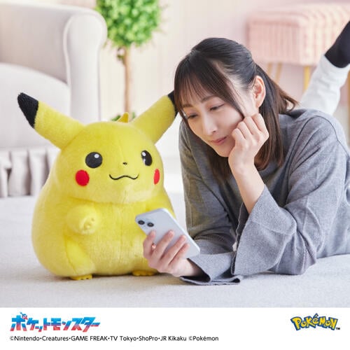 Pokemon寶可夢30週年紀念 歡迎回來! 皮卡丘11