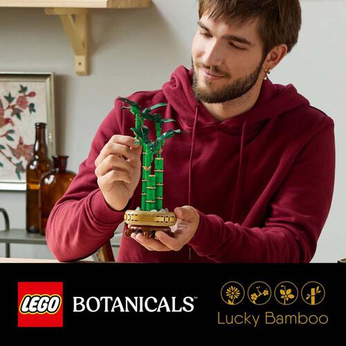 Lego Lucky Bamboo 10344
