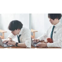 Dreams Posture Pal 坐姿伴偶(L) 樹懶