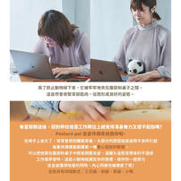 Dreams Posture Pal 坐姿伴偶(L) 第二彈 刺蝟