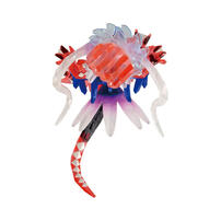 Pokemon 精靈寶可夢 MONCOLLE 故勒頓(太晶化)