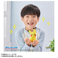 Pokemon寶可夢30週年紀念-掌心大小的皮卡丘Poke-fuwa