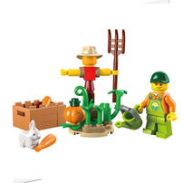 Lego樂高 30590農莊花園及稻草人