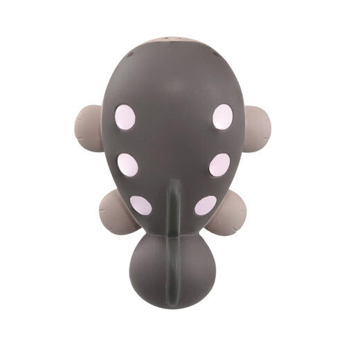 Pokemon 精靈寶可夢 MS-43 土王