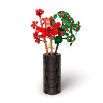 playpop 冬青植物收藏