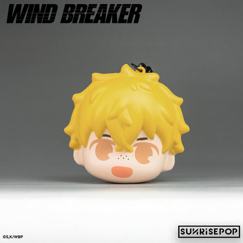 WIND BREAKER SUNRISEPOP 防風少年 捏捏吊飾 盲盒-隨機出貨