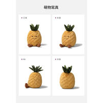 MCHUGS 香水鳳梨18CM