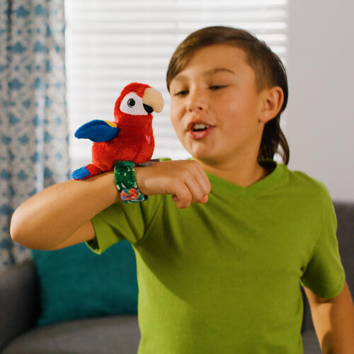 歡樂小吱  紅鸚鵡