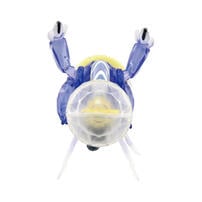 Pokemon 精靈寶可夢 MONCOLLE 密勒頓(太晶化)