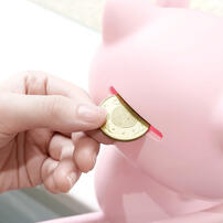 Pokemon 寶可夢-夢幻存錢筒