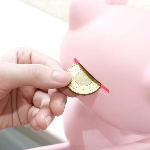 Pokemon 寶可夢-夢幻存錢筒