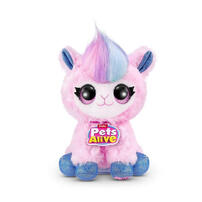 Rainbocorns	彩虹角角兒-驚奇寵物箱 生日派對