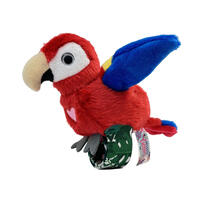 歡樂小吱  紅鸚鵡