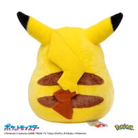 Pokemon寶可夢30週年紀念 歡迎回來! 皮卡丘11