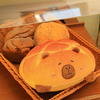 TUNTUNZAI卡皮巴拉	豚豚崽烘焙坊-可愛趴趴菠蘿包