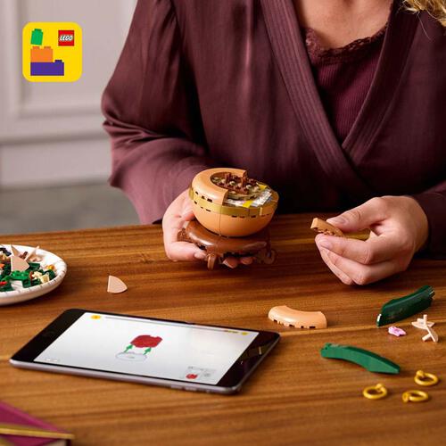 LEGO Botanicals迷你蘭花 10343