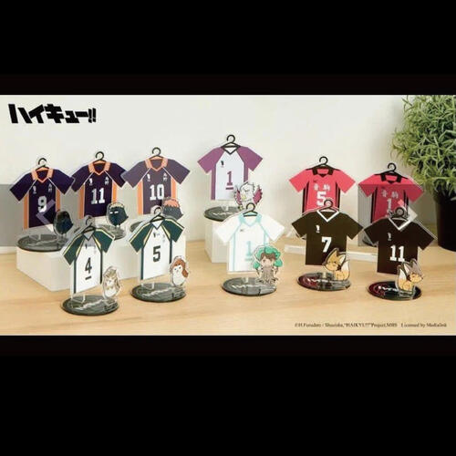 Haikyuu!! small standee 11 asst- Assorted