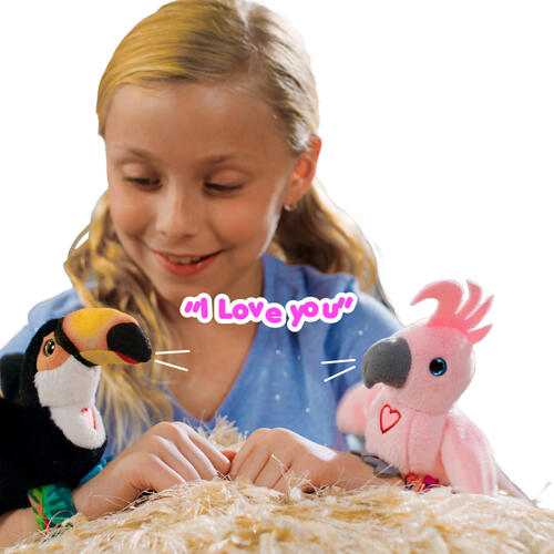 歡樂小吱 鳳頭鸚鵡