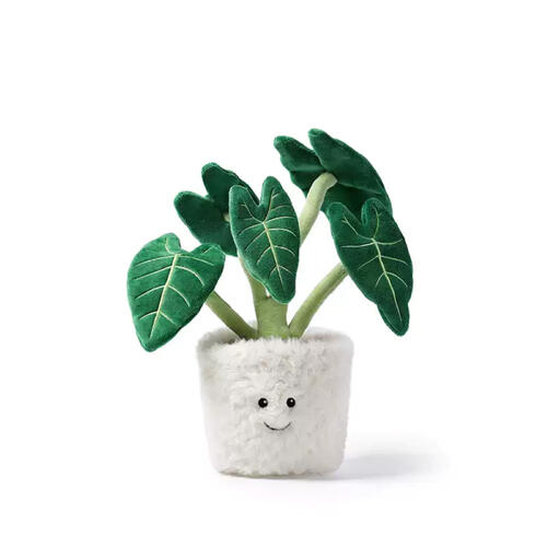 mchugs Alocasia Odora Bonsai 30cm