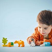 Lego Wild Animal Families: Penguins & Lions 10442